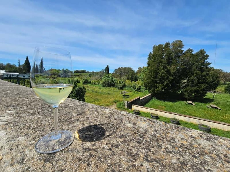 Lisboa: Évora, Cartuxa & Arraiolos Tour with Chapel of Bones - Who This Tour Suits Best