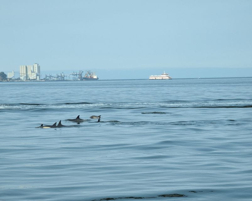 Lisbon: 2 Hr Boat Tour. Exclusive Best Shared Experience. - Itinerary and Sightseeing