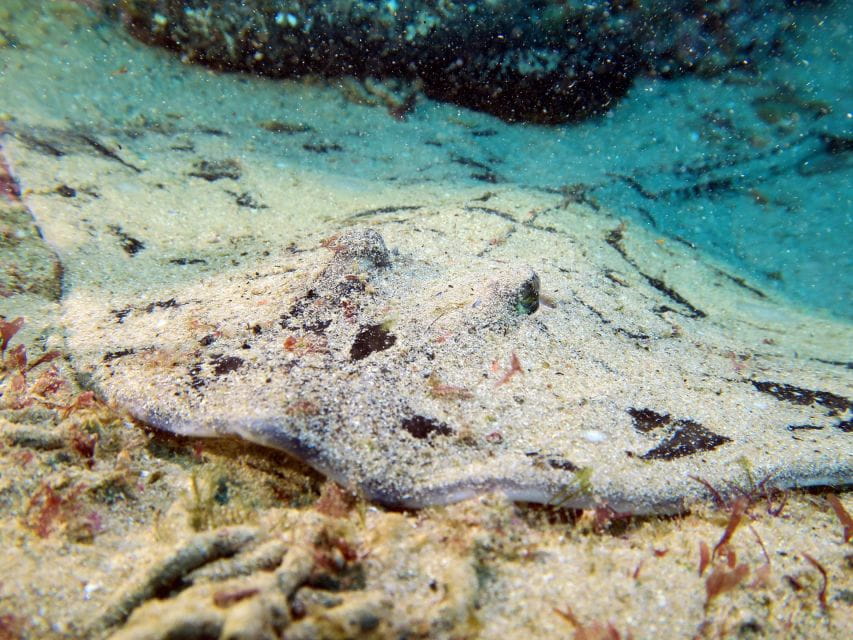 Lisbon: 4-Day Advanced Open Water Diver Course - Course Overview