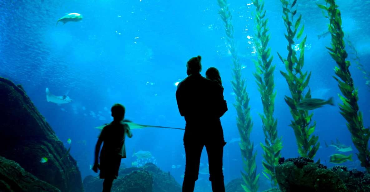 Lisbon: 48-Hour Hop-On-Hop-Off Bus Tour and Oceanarium Entry - Bus Route Details