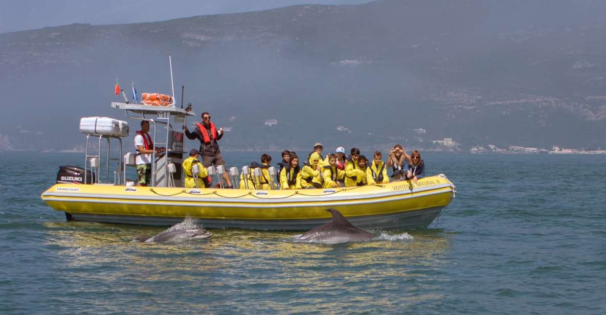 Lisbon: Arrábida Natural Park Dolphin Watching Boat Tour - Whats Included