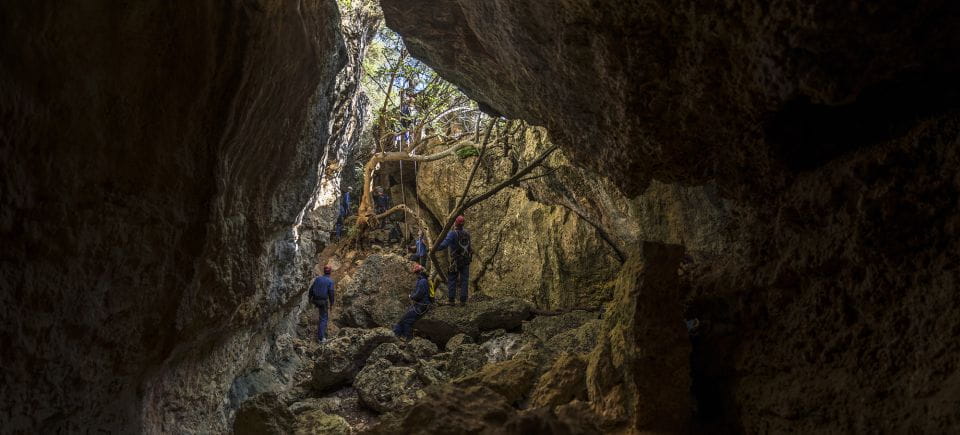 Lisbon: Arrábida Natural Park Via Ferrata & Abseiling Trip - Meeting Point and Logistics