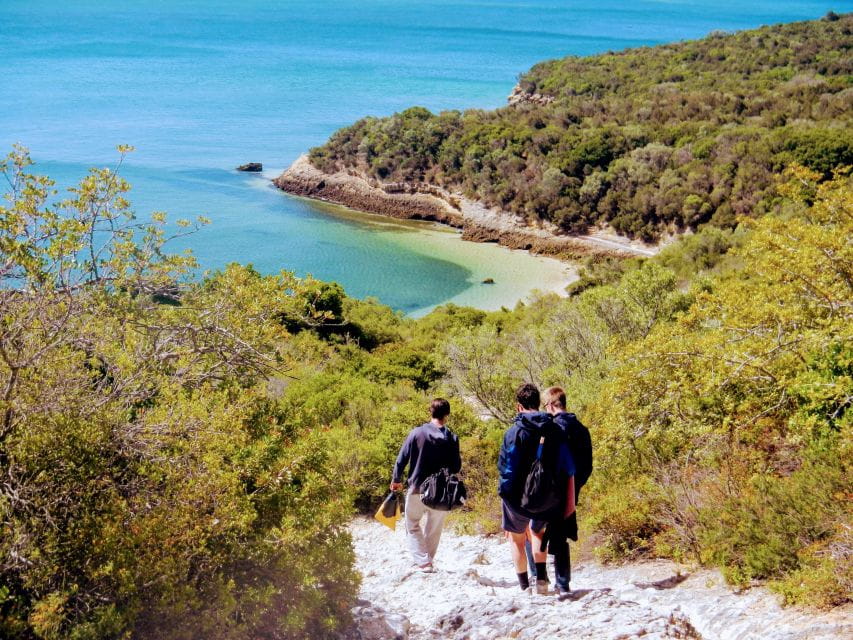 Lisbon: Arrábida Snorkeling Adventure - Key Points