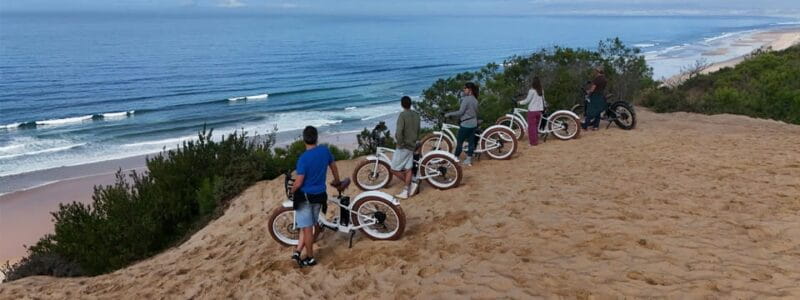 Lisbon: Beach Electric Fat Bike Tour - Who Is This Tour Perfect For?