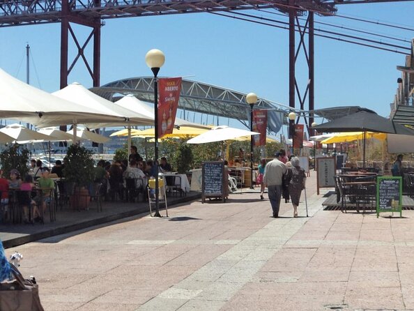 Lisbon Dolphin Watching With a Marine Biologist in a Small Group - Just The Basics