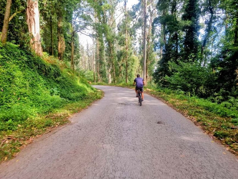 Lisbon: E-Bike Tour of Belém & Monsanto with Pastel tasting - Price and Logistics