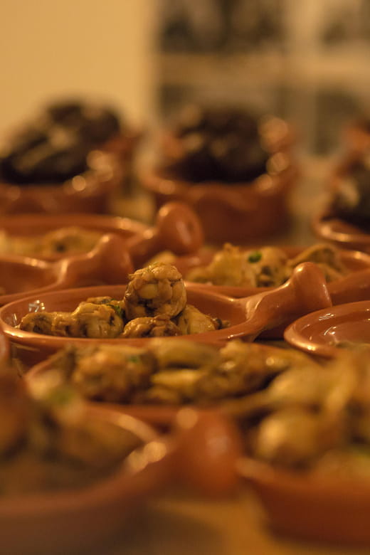 Lisbon: Fado Night with Dinner with Live Performance - The Performers: Talented Singers and Musicians