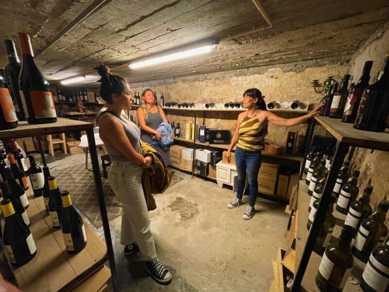 Lisbon: Food and Wine tasting tour in Local Hidden Gems - The Sum Up: Who Should Consider This Tour?