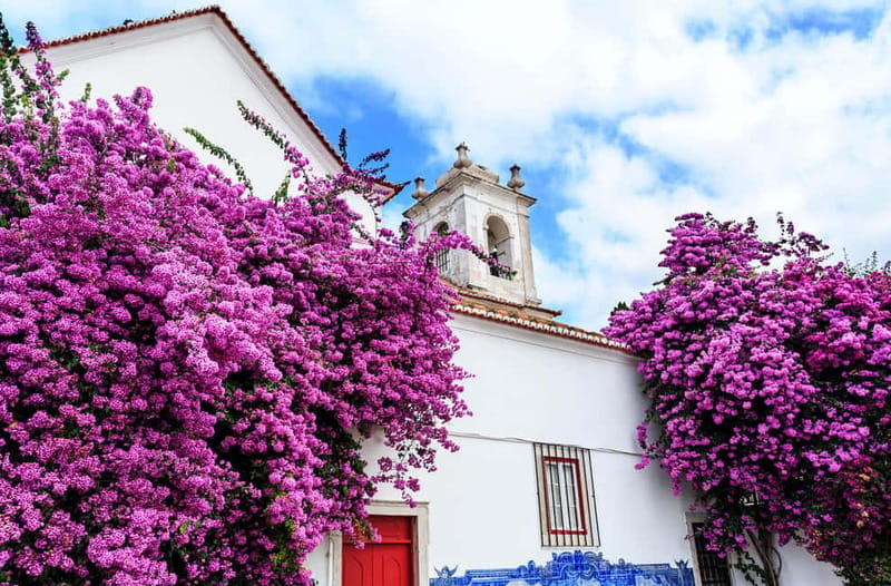 Lisbon: Historical Old Town Tour by Tuk Tuk. - Transportation and Comfort: Small but Nimble