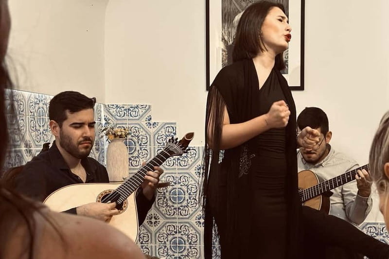 Lisbon: Intimate Fado Show in the Historic Fado District - Navigating The Logistics: Price, Duration, and Practicalities