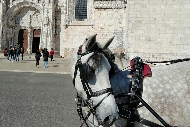 Lisbon Layover - Highlights of the Tour