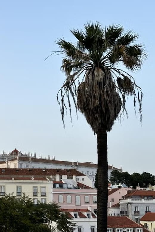 Lisbon: Mysteries and Legends of the City Guided Tour - Who Will Love This Tour?