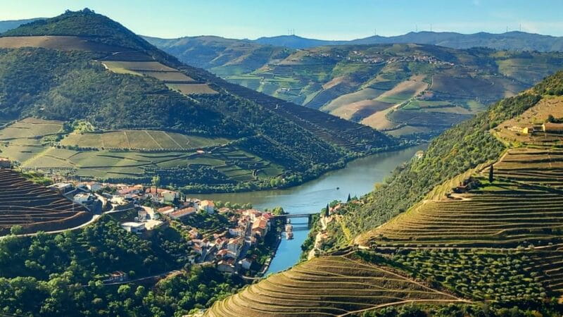 Lisbon: One Way to Douro Valley through Coimbra and Obidos - Practical Details and Tips