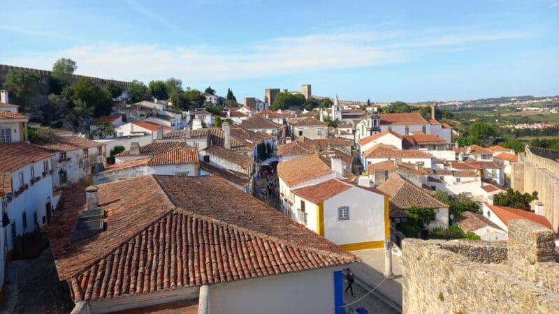 Lisbon: One Way to Douro Valley through Coimbra and Obidos - Who Should Consider This Tour?