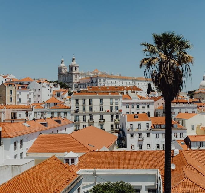 Lisbon Panorama Tour: Electric Tuk Tuk | Professional Guide - Key Points and Takeaways