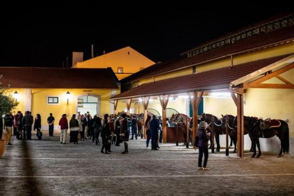 Lisbon: Portuguese Riding School Trainig With Lusitano Horse - Additional Tips