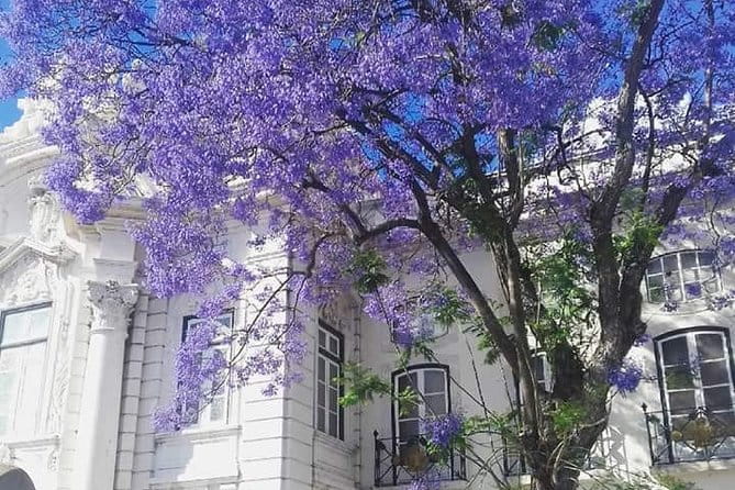 Lisbon: Private Guided Electric Tuk Tuk Tour with Tastings - Final Thoughts