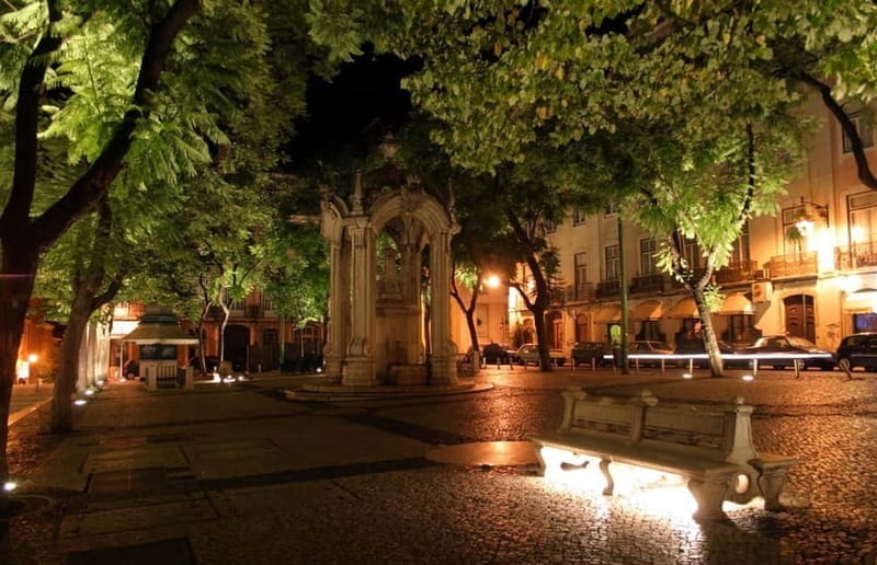 Lisbon: Private Night Tour with Fado Dinner Show - Price and Value