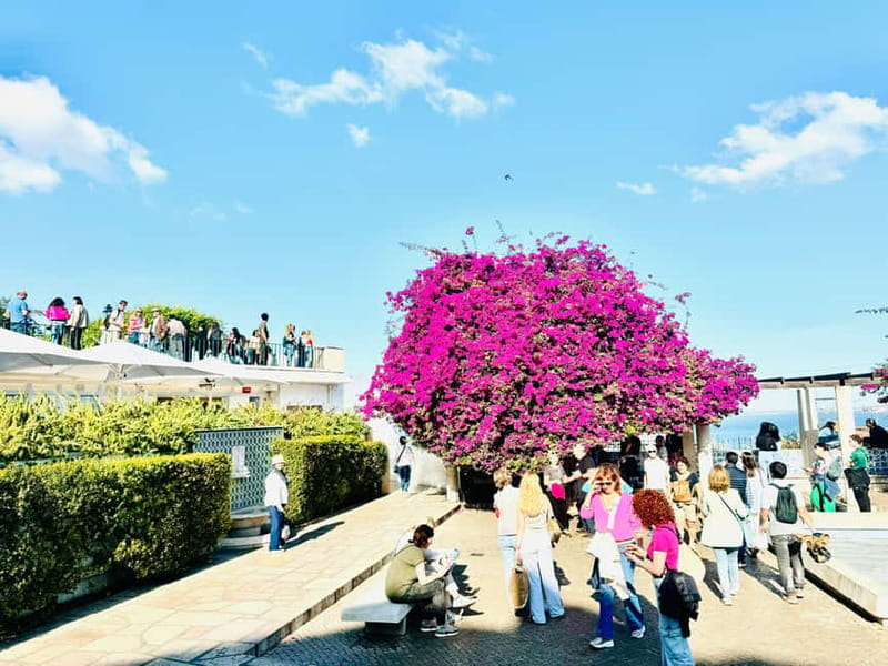 Lisbon: Private Old Town Tuk Tuk Tour - FAQ: Practical Questions About the Lisbon Private Old Town Tuk Tuk Tour