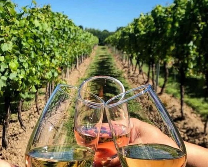 Lisbon: Setúbal, Arrábida and Azeitão Private Wine Tour - Price and Value