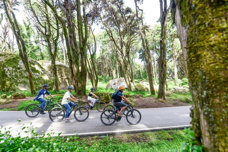 Lisbon: Sintra Magical e-Bike Tour + Lunch & Pena Palace - The Sum Up