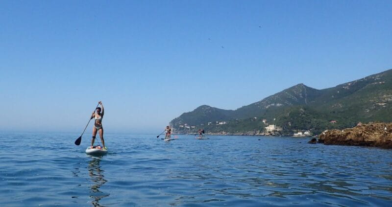 Lisbon: Stand Up Paddle Lesson in Arrábida, Setubal,Sesimbra - Key Points / Takeaways
