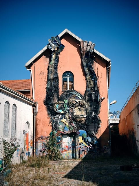 Lisbon: Street Art Lovers with Tuktuk - Why Choose a Street Art Tuktuk Tour?