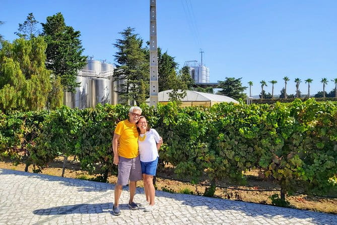 Lisbon & The South Side Wine Regions Private Luxury Tour - Who This Tour Is Best For