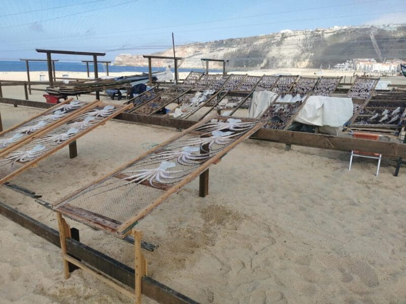 Lisbon to Fatima Nazaré and Óbidos Private Full Day Tour - Practical Considerations and Who This Tour Fits