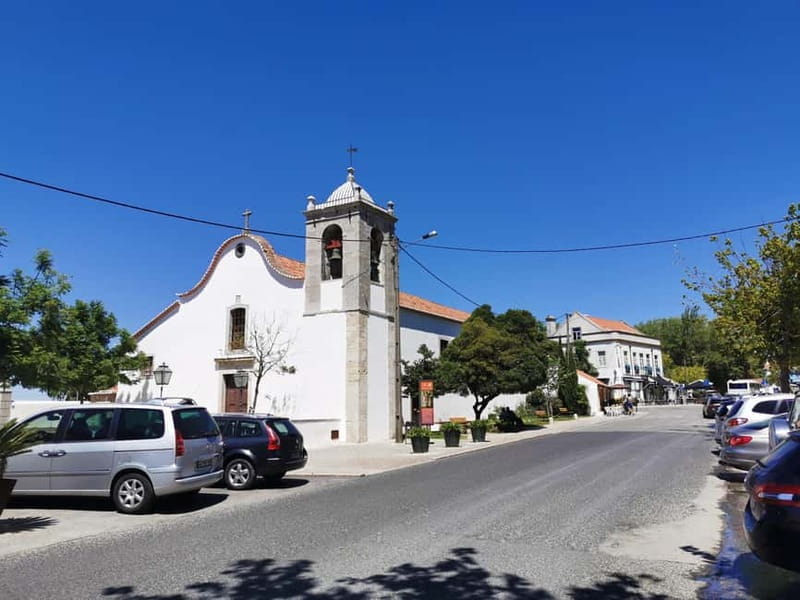 Lisbon to Wine Tasting Setubal, Two Cellars, Half Day Tour - Exploring the Setubal Wine Tour: A Deeper Look