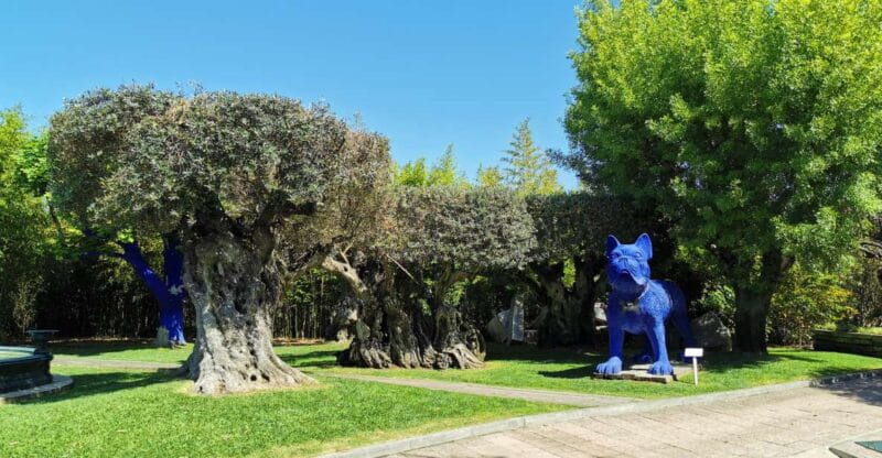 Lisbon to Wine Tasting Setubal, Two Cellars, Half Day Tour - FAQs