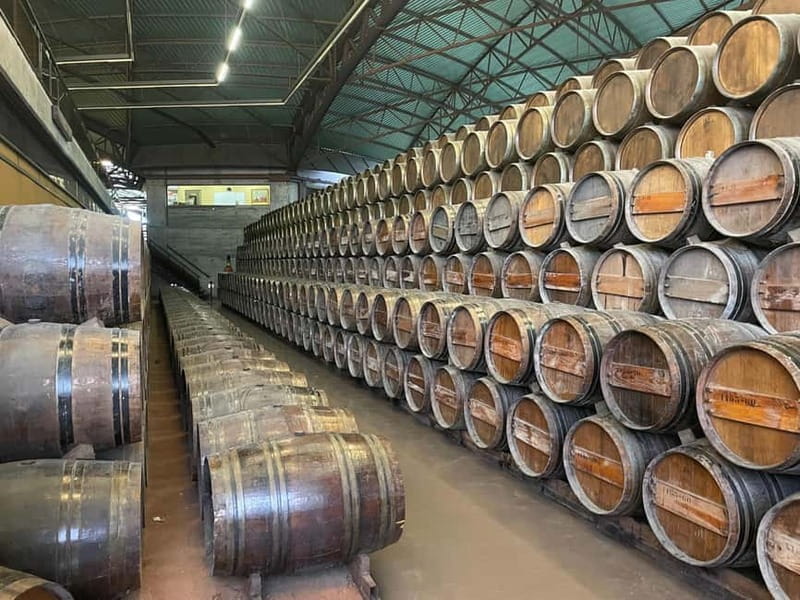 Lisbon: Tour Cristo Rei, Setúbal, Arrábida, Azeitão, Palmela - Discovering Lisbons Hidden Gems: A Comprehensive Review of the Cristo Rei, Setúbal, Arrábida, Azeitão, and Palmela Tour