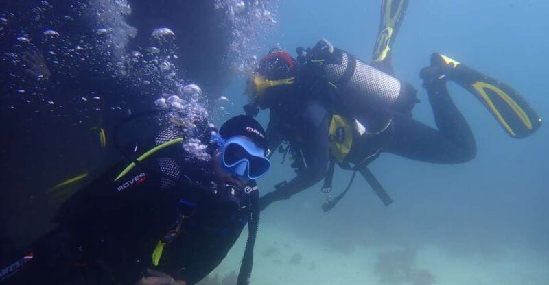 Lisbon: Try Dive in Arrábida Marine Reserve Setubal Sesimbra - Authentic Experiences and Reviews