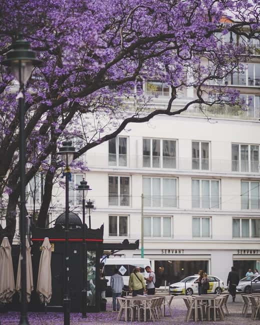 Lisbon: Tuk Tuk Tour of Belém Historic Area - The Value of a Guided Tuk-Tuk Ride