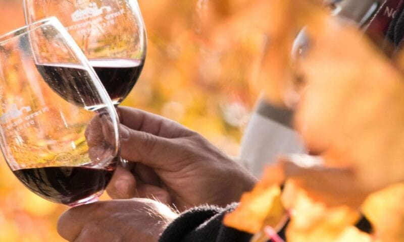 Lisbon Wine Tasting - What Youll Taste and Learn