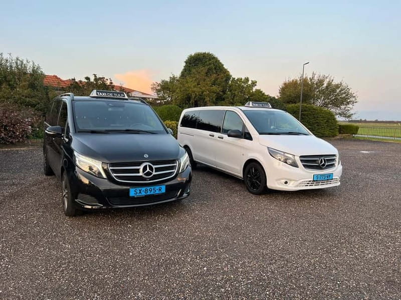 Lisse: Private Tulip Fields Tour with a Local Guide 1h Tour - Key Points and Takeaways