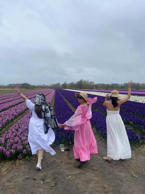 Lisse: Private Tulip Fields Tour with a Local Guide 1h Tour - FAQ