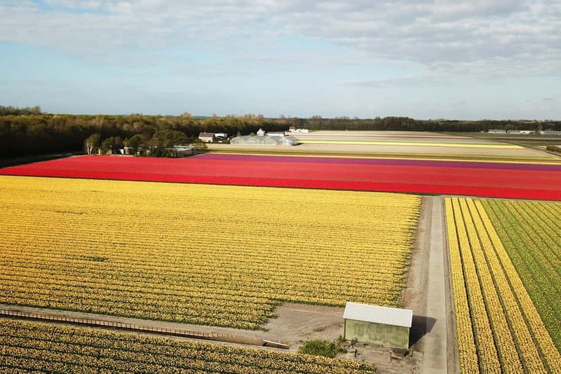Lisse: Self-Guided Tulip Fields GPS Audio Tour - Starting Point and Logistics: Easy Access and Practical Info