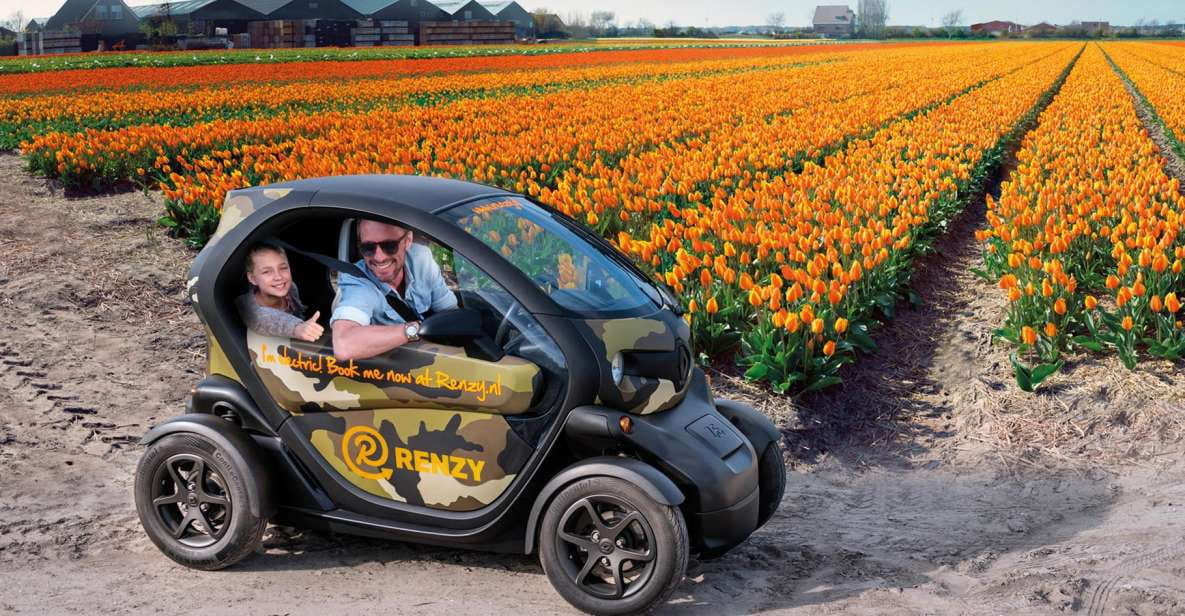 Lisse: Self-Guided Tulip Fields GPS Audio Tour - Tulip Field Viewing Season