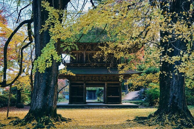 Little Adventure With Cycling in Tokyo No. 1 Crystal Clear River - Customer Feedback and Insights