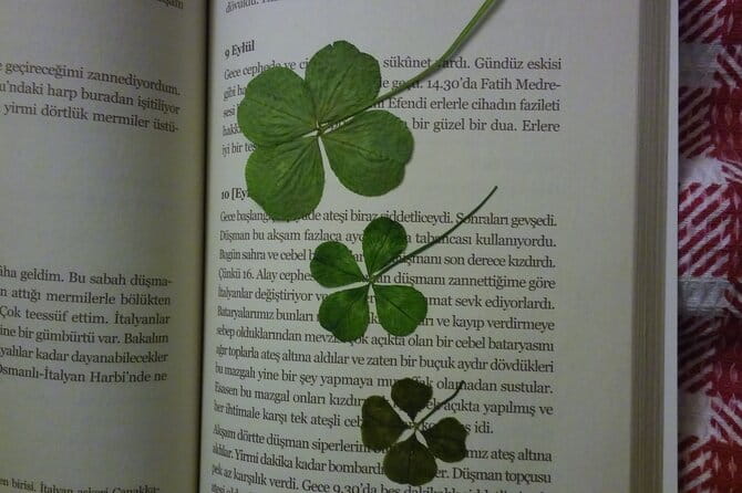 Little Hagia Sophia / Aromatherapy Workshop / Breakfast (include) - FAQ