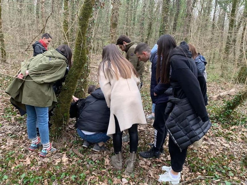 Livade: Guided Truffle Hunting Walking Tour - Key points / Takeaways from the Livade Truffle Hunt