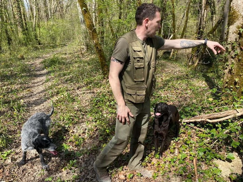 Livade: Guided Truffle Hunting Walking Tour - Final Thoughts