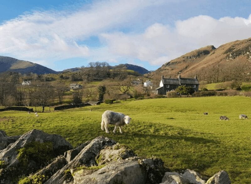 Liverpool: Lake District Tour with Lake Cruise & Train Ride - Entering the Landscape: What Makes This Tour Special