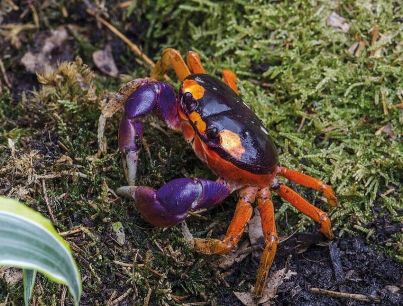 Livorno: Aquarium Entrance Ticket - The Experience Duration