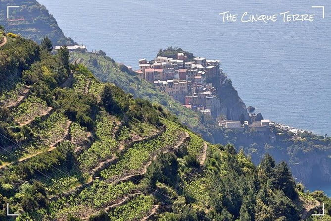 Livorno Private Shore Excursion to Portovenere and the Cinque Terre - Flexibility and Extra Experiences Along the Route