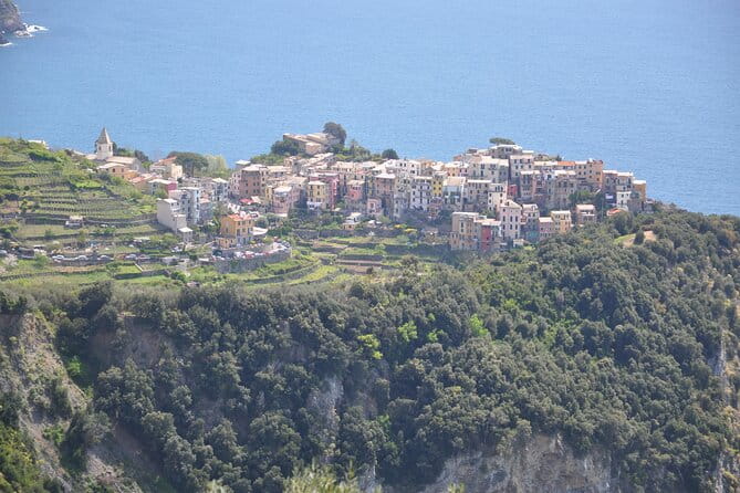 Livorno Private Shore Excursion to Portovenere and the Cinque Terre - Who Will Love This Tour?