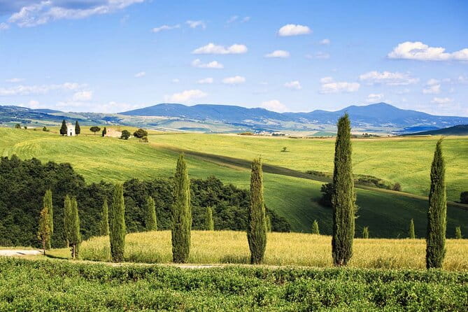 Livorno shore excursion: Bolgheri and Supertuscan private tour - Practical Details That Make or Break the Experience