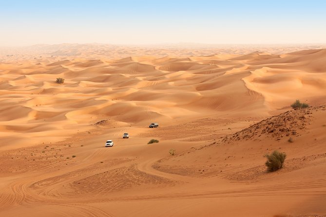 Liwa Full Day Desert Safari From Abu Dhabi - Camel Farm Visit