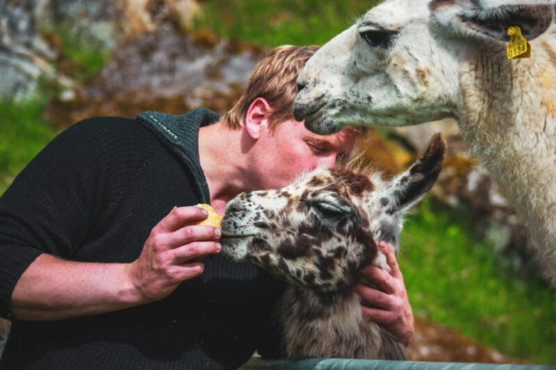 Ljøen, Hellesylt: Ljøen Farm Tour - Final Thoughts